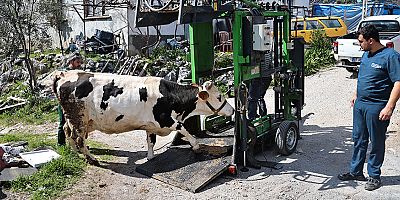 Büyükşehir’den Gündoğmuşlu üreticilere tırnak bakım desteği