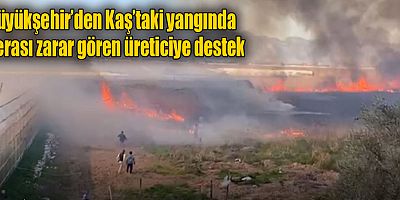 Büyükşehir’den Kaş’taki yangında serası zarar gören üreticiye destek