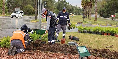 Büyükşehir’den Kemer’de peyzaj çalışması  