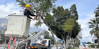 Büyükşehir’den Kemer’de peyzaj düzenlenesi 