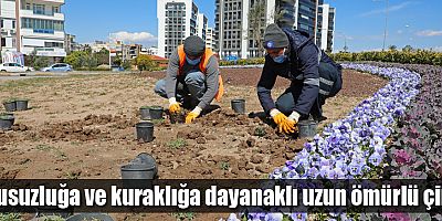 Büyükşehir’den kuraklığa dayanıklı çim üretimi