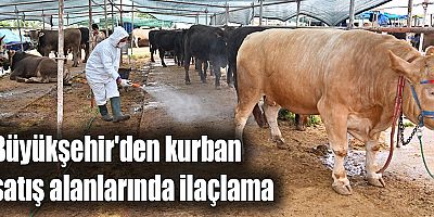 Büyükşehir'den kurban satış alanlarında ilaçlama