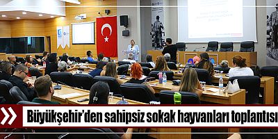 Büyükşehir’den sahipsiz sokak hayvanları toplantısı 