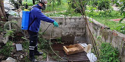 Büyükşehir’den sinek üreme alanlarında yoğun çalışma 