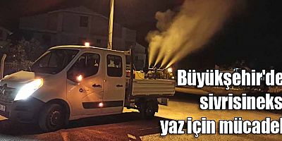 Büyükşehir'den sivrisineksiz yaz için mücadele
