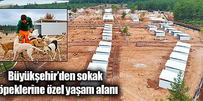 Büyükşehir’den sokak köpeklerine özel yaşam alanı 