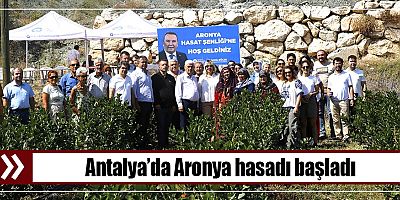 Büyükşehir’den “Süper Meyve” Aronya Hasat Şenliği 