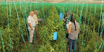 Büyükşehir’den üreticiyi eğitim desteği 