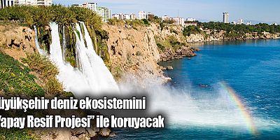 Büyükşehir deniz ekosistemini “Yapay Resif Projesi” ile koruyacak