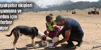 Büyükşehir ekipleri dayanışma ve yardım için seferber oluyor