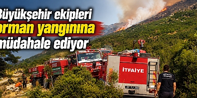 Büyükşehir ekipleri orman yangınına müdahale ediyor