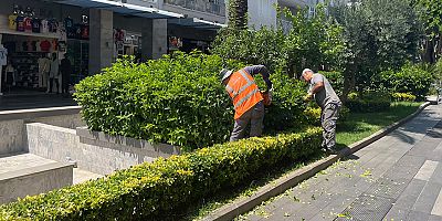 Büyükşehir ekiplerinden Kemer Liman Caddesi'nde çalışma