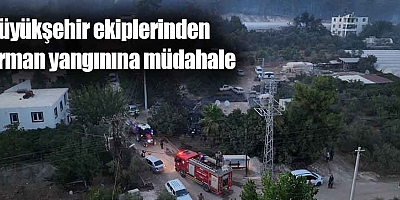 Büyükşehir ekiplerinden orman yangınına müdahale
