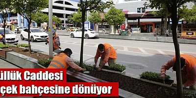 Büyükşehir Güllük Caddesi’ni 40 bin çiçekle süsleyecek