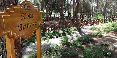 Büyükşehir’in ‘Koku Bahçesi’ ilgi görüyor