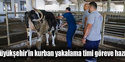 Büyükşehir’in kurban yakalama timi göreve hazır 