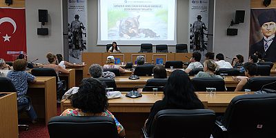 Büyükşehir’in sahipsiz sokak hayvanları toplantıları sürüyor