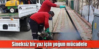 Büyükşehir’in sinekle mücadele ordusu sahada
