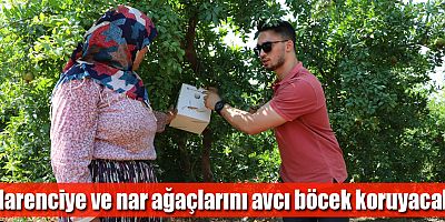 Büyükşehir’in üreticilere faydalı böcek desteği sürüyor