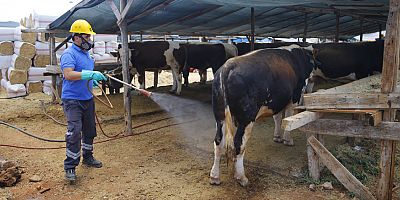 Büyükşehir Kurban Bayramı’na hazır