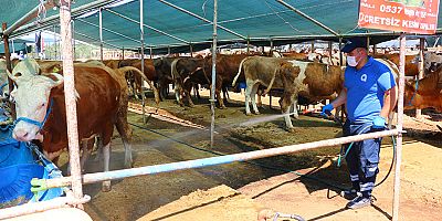 Büyükşehir Kurban Pazar Yerlerini İlaçlıyor