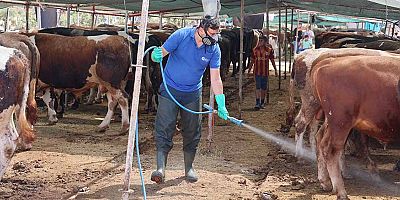 Büyükşehir kurban satış noktalarını ilaçlıyor