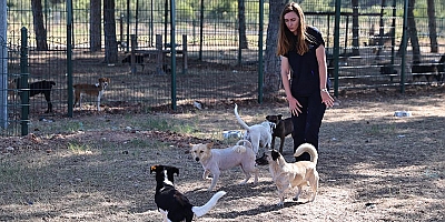Büyükşehir patili dostları sahipsiz bırakmıyor