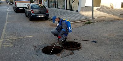 Büyükşehir sinek ve haşereyle mücadelesini sürdürüyor