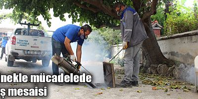 Büyükşehir sinekle mücadelede kış mesaisine geçti