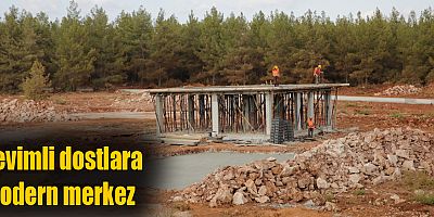 Büyükşehir, Sokak Hayvanları Bakım Evi İnşasına başladı