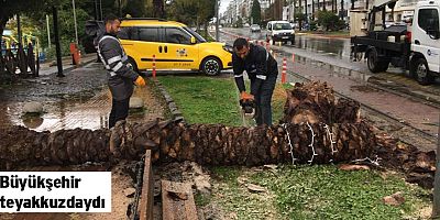 Büyükşehir teyakkuzdaydı