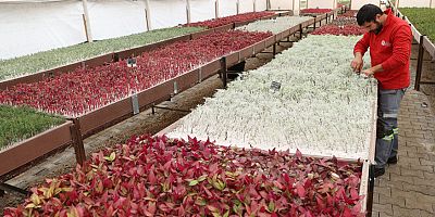 Büyükşehir üreterek tasarruf etti