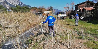 Büyükşehir vektörel mücadeleyi kışın da sürdürüyor