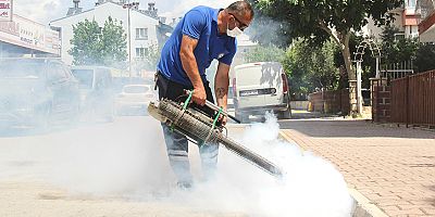 Büyükşehir vektörle mücadele çalışmasını aralıksız sürdürüyor