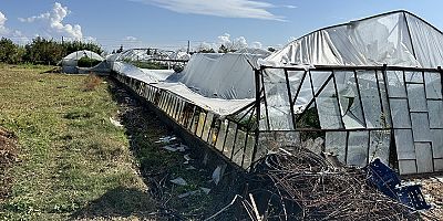 Büyükşehir yağış ve fırtınadan zarar gören üreticinin yanında
