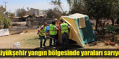 Büyükşehir yangın bölgesinde yaraları sarıyor