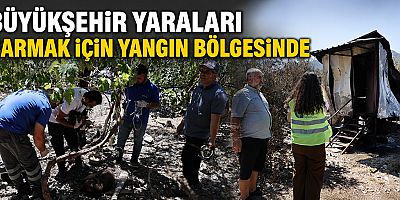 Büyükşehir yaraları sarmak için yangın bölgesinde
