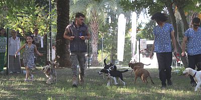 Büyükşehir yavru can dostları eğiterek sahiplendiriyor