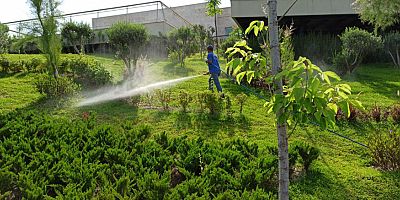 Büyükşehir yeşil alanlarda ilaçlama yaptı