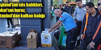 Büyükşehir zabıtasından otogarda usulsüz taşımacılığa operasyon 