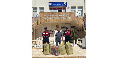 Çalınan keçiboynuzu çuvallarını Jandarma buldu