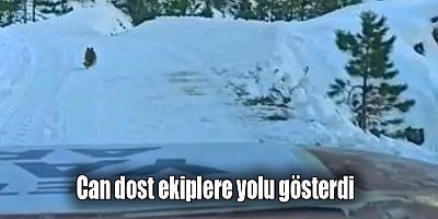 Can dost ekiplere yolu gösterdi