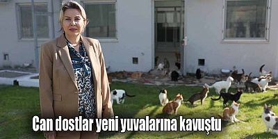 Can dostlar yeni yuvalarına kavuştu
