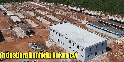 Can dostlara konforlu bakım evi
