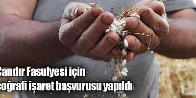 Çandır Fasulyesi için coğrafi işaret başvurusu yapıldı