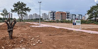 Çankaya’ya zeytin temalı park