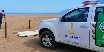 Caretta caretta yuvalama alanına araçla giren şahıs yakalandı