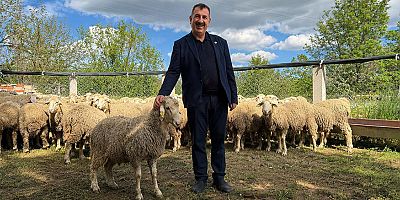 Çelik “Elde kalan kurbanlıklara ESK güvencesi yetiştiricimize moral odu”