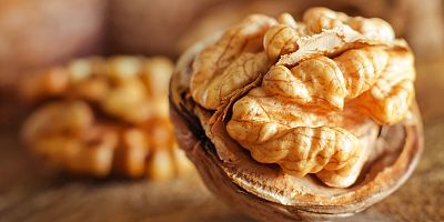 Ceviz Üreticileri Derneği: Yerli cevizde verimi artırmak için iş birliği çok önemli