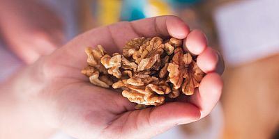 Ceviz ve Kalp Sağlığı Arasındaki Bağlantı Bilimsel Çalışmalarla Destekleniyor